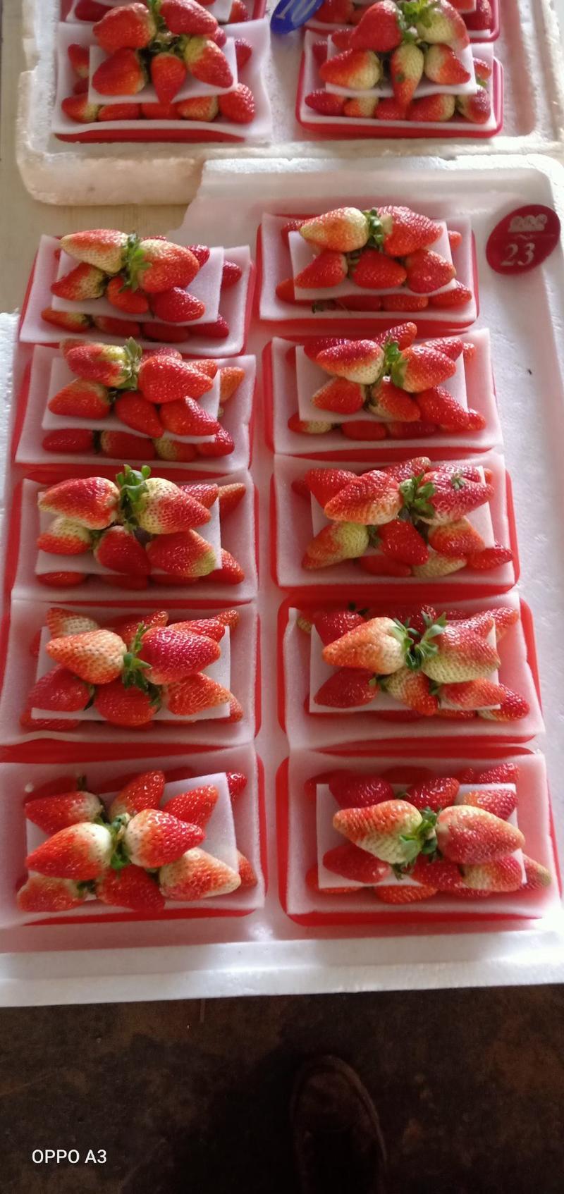 云南高原蒙特瑞夏季草莓供应:各种包装，价格美丽！