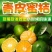 橘子新鲜现摘桔子水果青桔孕妇水果柑橘蜜橘蜜桔云南青皮蜜桔