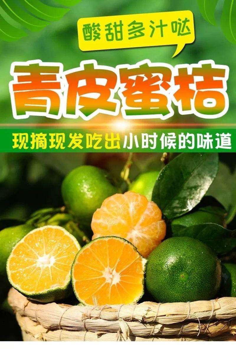 橘子新鲜现摘桔子水果青桔孕妇水果柑橘蜜橘蜜桔云南青皮蜜桔
