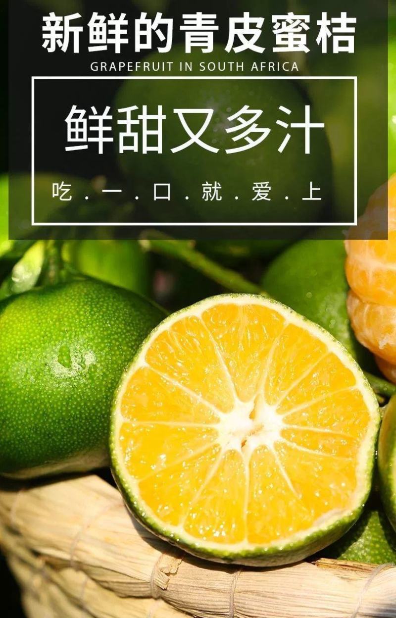 橘子新鲜现摘桔子水果青桔孕妇水果柑橘蜜橘蜜桔云南青皮蜜桔