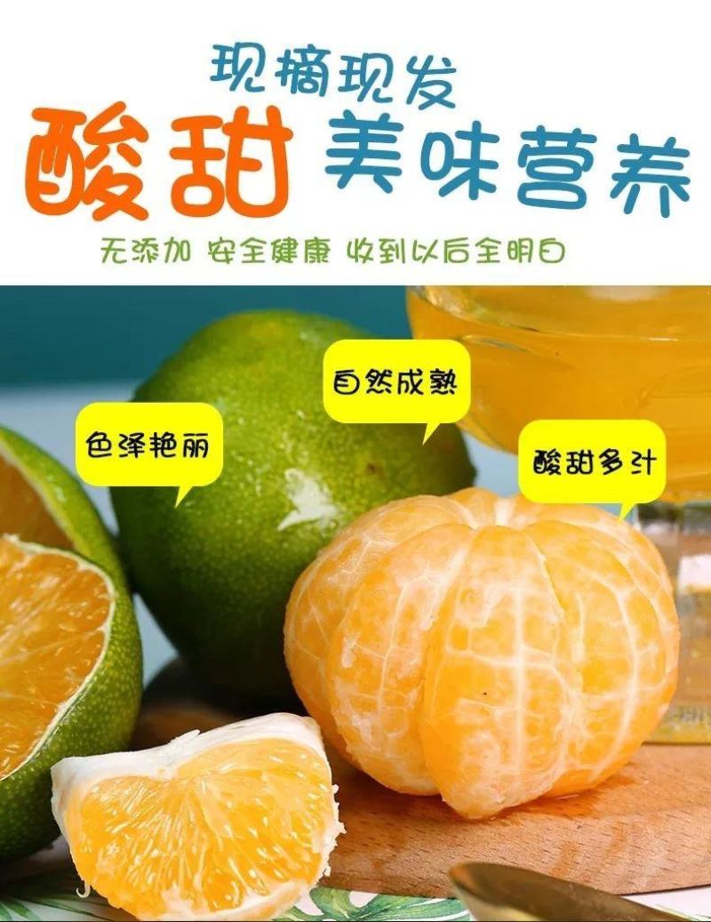 橘子新鲜现摘桔子水果青桔孕妇水果柑橘蜜橘蜜桔云南青皮蜜桔
