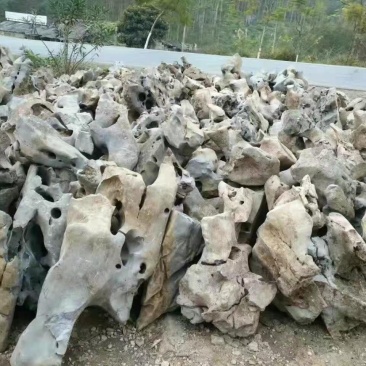 太湖石，，又名窟窿石、假山石，是由石灰岩遭到长时间侵蚀后