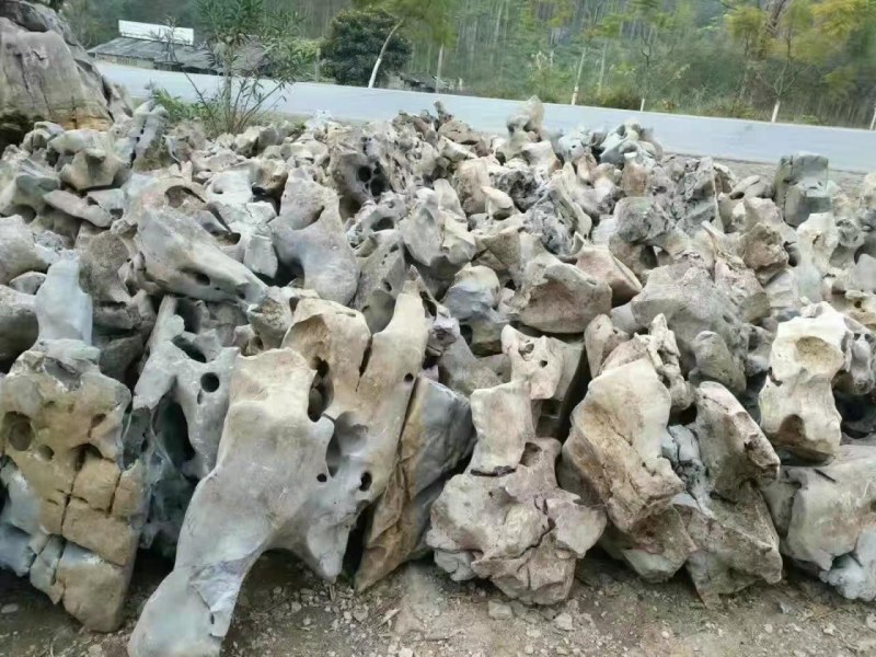 太湖石，，又名窟窿石、假山石，是由石灰岩遭到长时间侵蚀后
