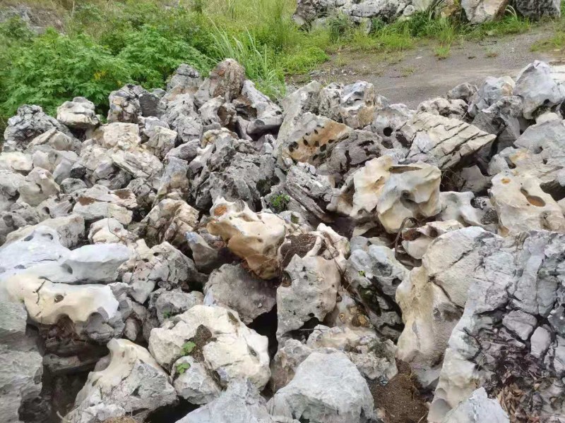 太湖石，，又名窟窿石、假山石，是由石灰岩遭到长时间侵蚀后