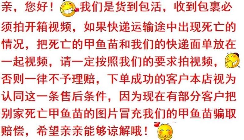 甲鱼苗中华鳖【死亡包赔】【提供技术指导】乌鳖苗【深水养】