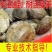 甲鱼苗中华鳖【死亡包赔】【提供技术指导】乌鳖苗【深水养】