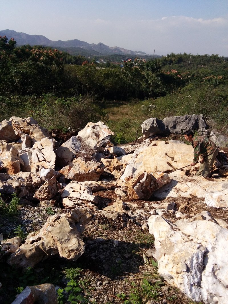 太湖石，，又名窟窿石、假山石，是由石灰岩遭到长时间侵蚀后