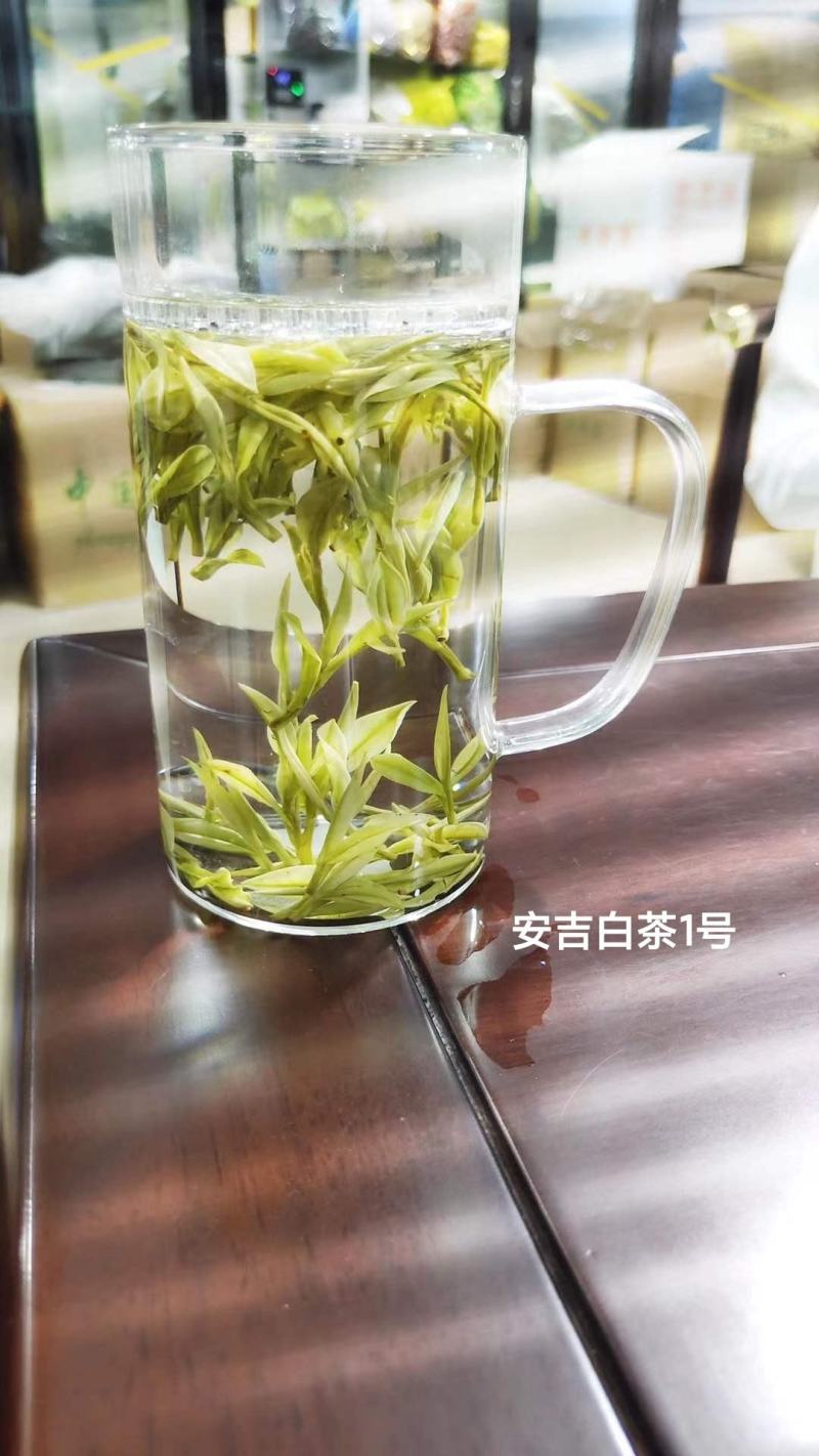 正宗安吉白茶特级新茶绿茶春茶礼盒装高山绿茶雨前