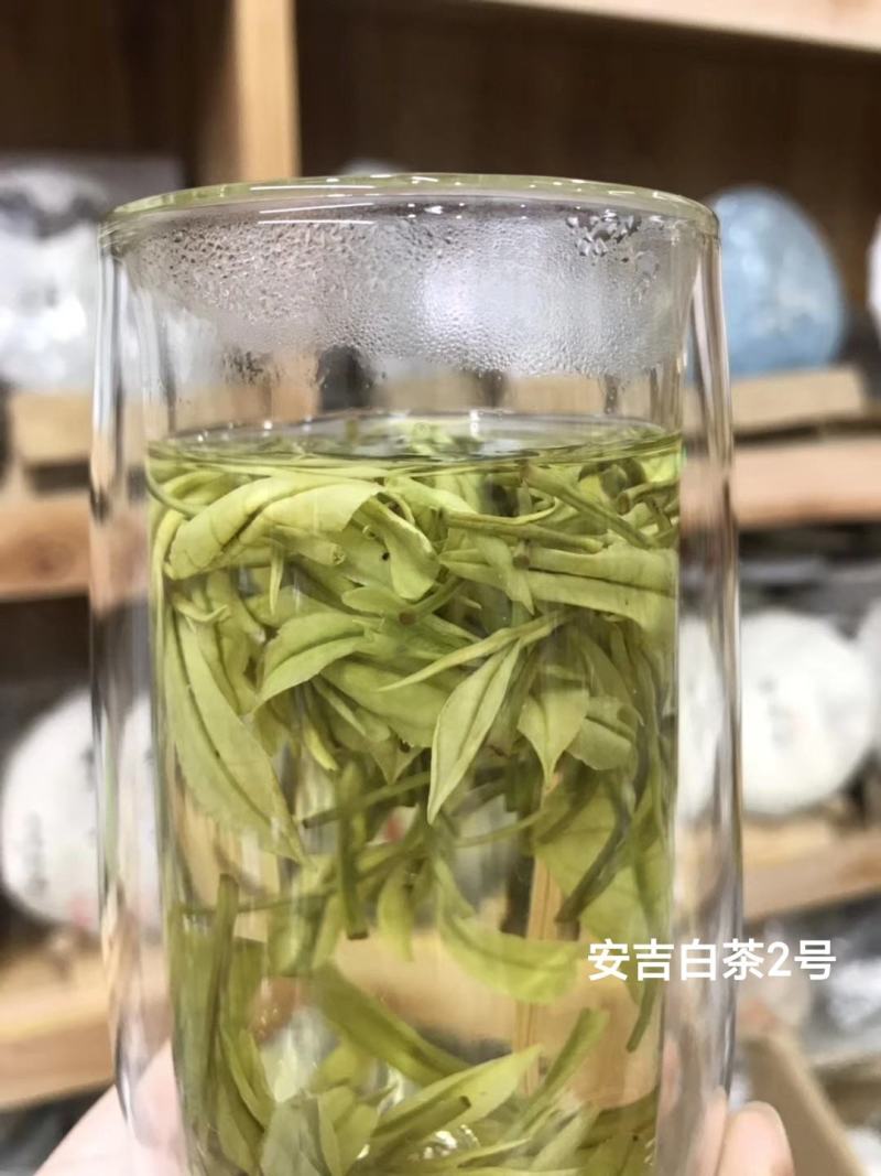 正宗安吉白茶特级新茶绿茶春茶礼盒装高山绿茶雨前
