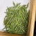 正宗安吉白茶特级新茶绿茶春茶礼盒装高山绿茶雨前