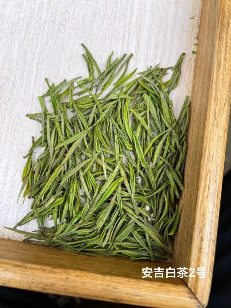 正宗安吉白茶特级新茶绿茶春茶礼盒装高山绿茶雨前