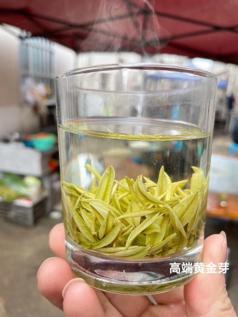 正宗安吉白茶特级新茶绿茶春茶礼盒装高山绿茶雨前