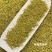 正宗安吉白茶特级新茶绿茶春茶礼盒装高山绿茶雨前