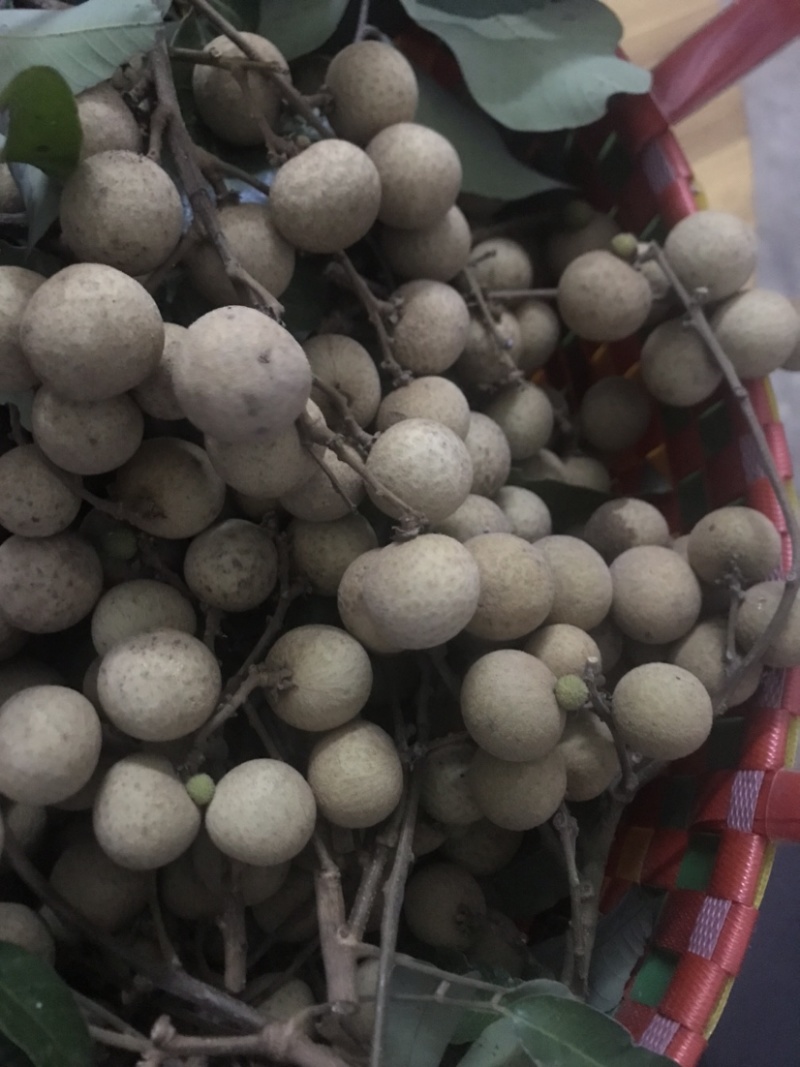 广西崇左扶绥正宗干包石夹龙眼