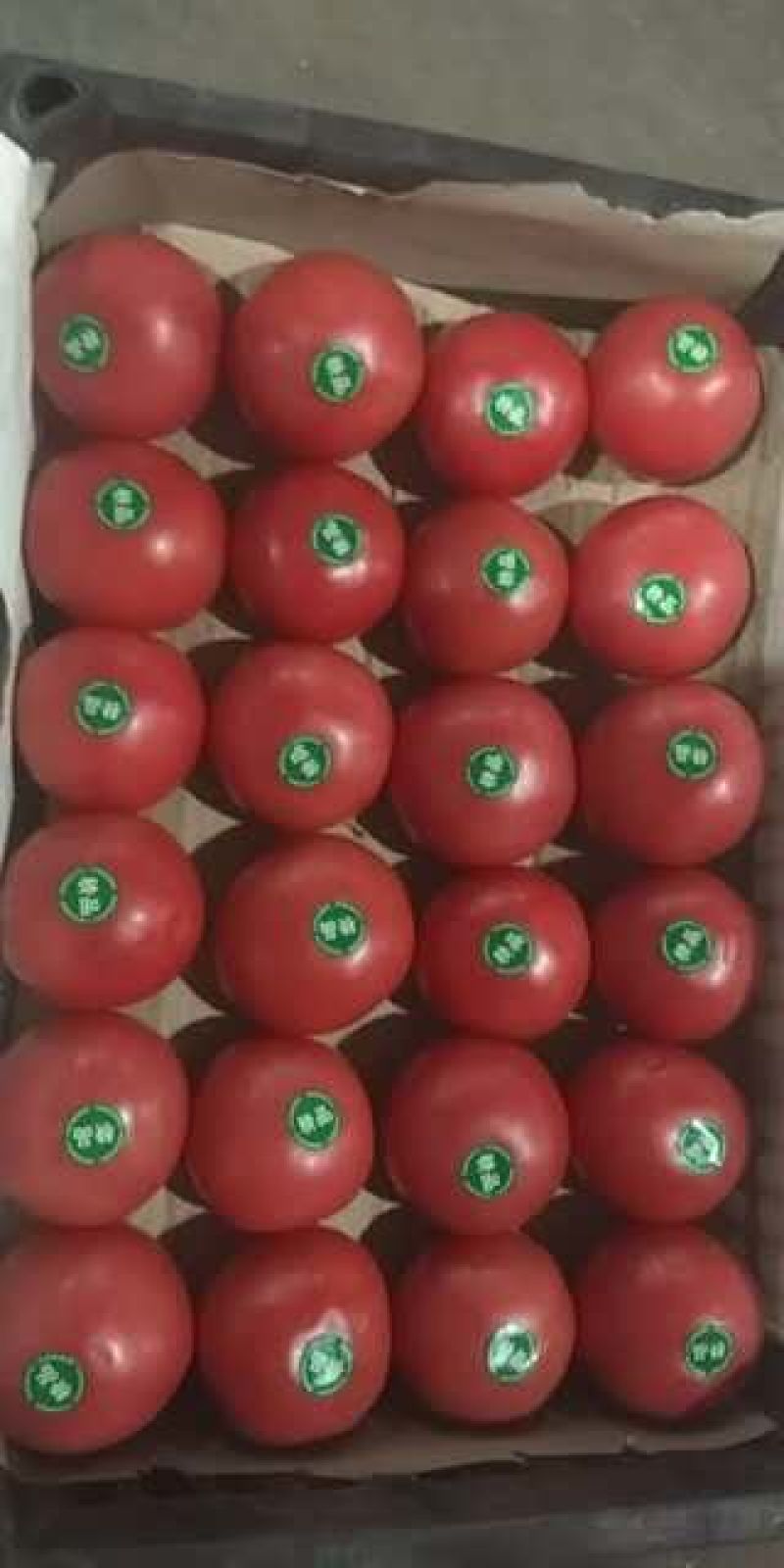 陆地精品粉红西红柿