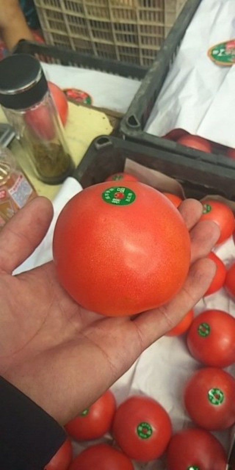 陆地精品粉红西红柿