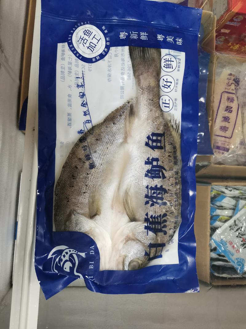 海鲈鱼，一件进货20斤，一条600克左右