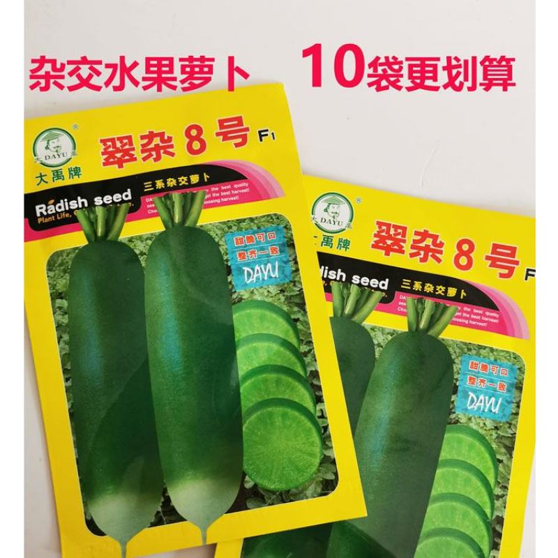 翠杂8号水果萝卜种子青皮青肉脆甜萝卜种子10克原袋发货