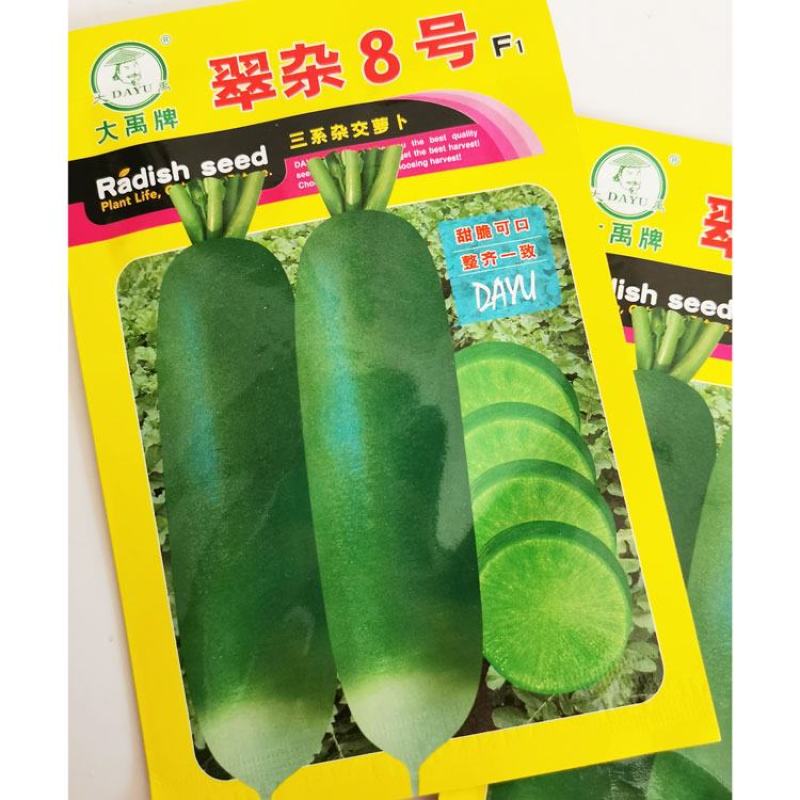 翠杂8号水果萝卜种子青皮青肉脆甜萝卜种子10克原袋发货