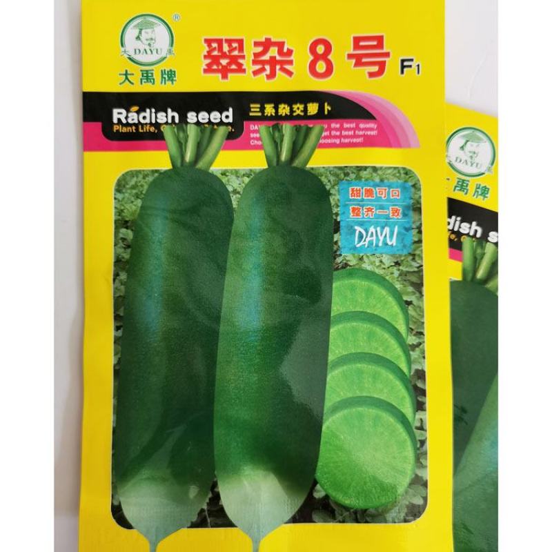 翠杂8号水果萝卜种子青皮青肉脆甜萝卜种子10克原袋发货