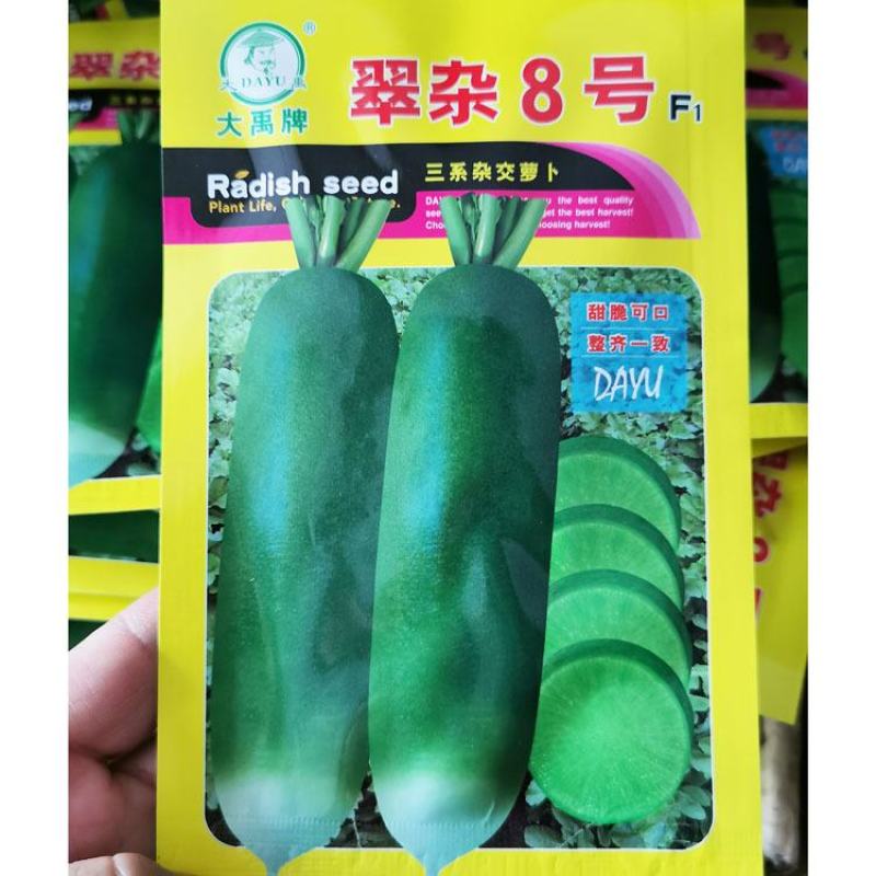 翠杂8号水果萝卜种子青皮青肉脆甜萝卜种子10克原袋发货