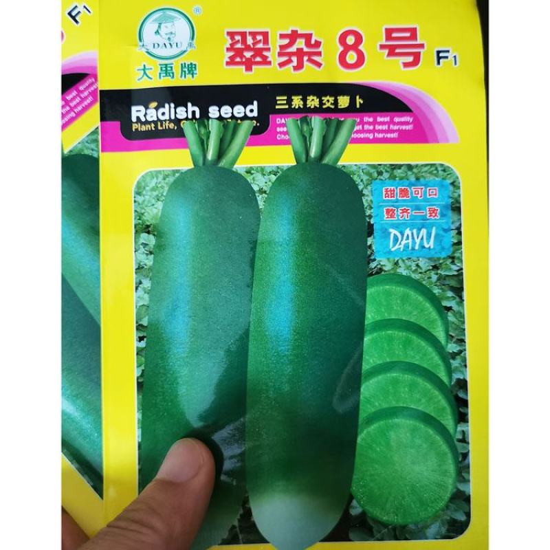 翠杂8号水果萝卜种子青皮青肉脆甜萝卜种子10克原袋发货