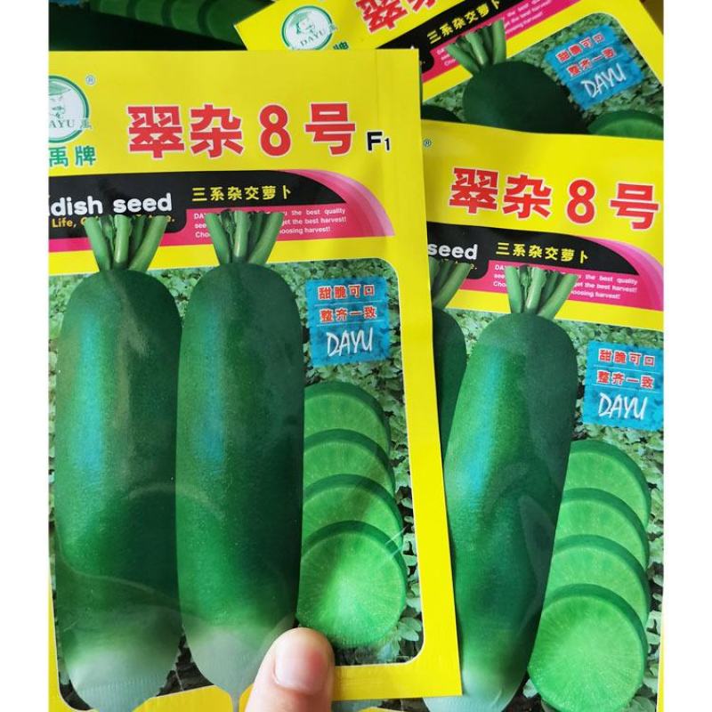 翠杂8号水果萝卜种子青皮青肉脆甜萝卜种子10克原袋发货