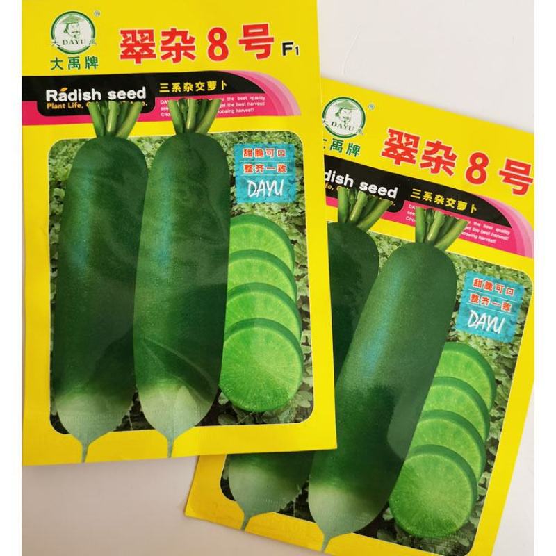 翠杂8号水果萝卜种子青皮青肉脆甜萝卜种子10克原袋发货