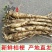 赤峰桔梗2025年秋季产新在即，通货选货，达出口级别