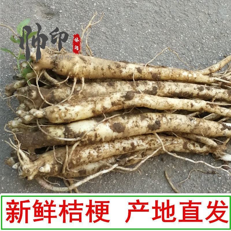 赤峰桔梗2025年秋季产新在即，通货选货，达出口级别