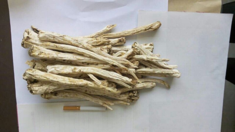 赤峰桔梗2025年秋季产新在即，通货选货，达出口级别