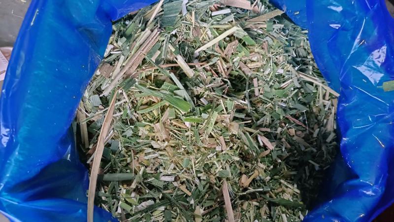 压块青储饲料牛羊畜牧草饲料优质牧草巨菌草青储草料