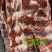 肋眼骨，肉多质量好，一手货源，全国冷链发货