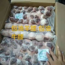 包油羊腰子，实拍图片，一手货源，全国冷链发货