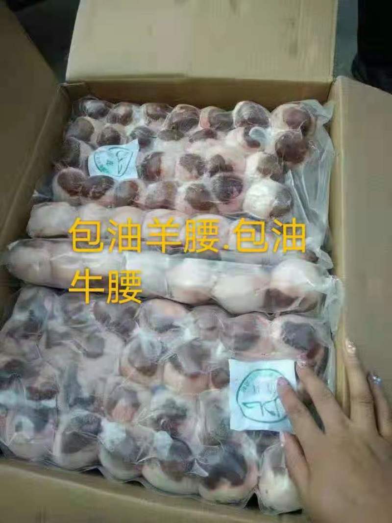 包油羊腰子，实拍图片，一手货源，全国冷链发货