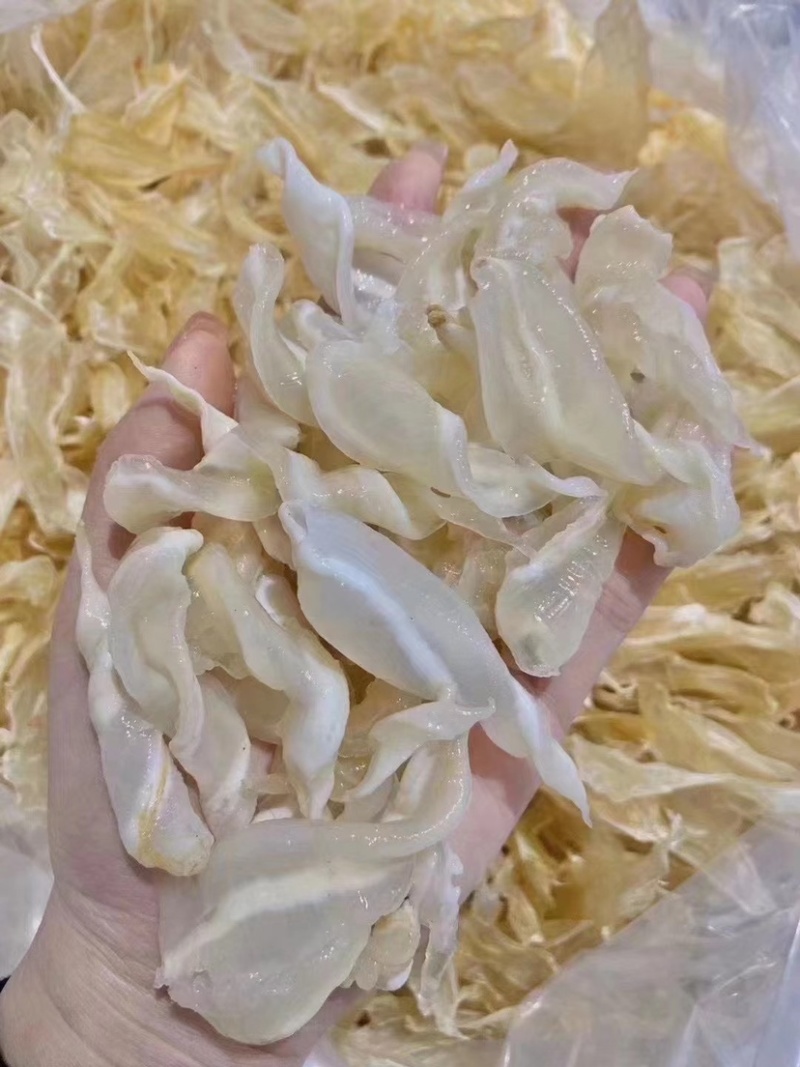 竹叶胶红鱼胶小米胶花胶干货鸡蛋胶酒店火锅店煲汤食材