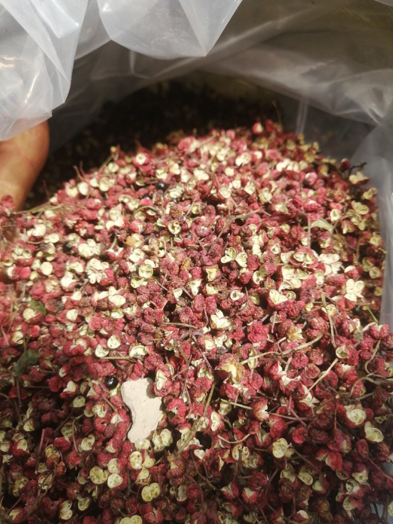 甘肃省，天水市，麦积区花牛镇，精品新鲜花椒，大红袍包邮中