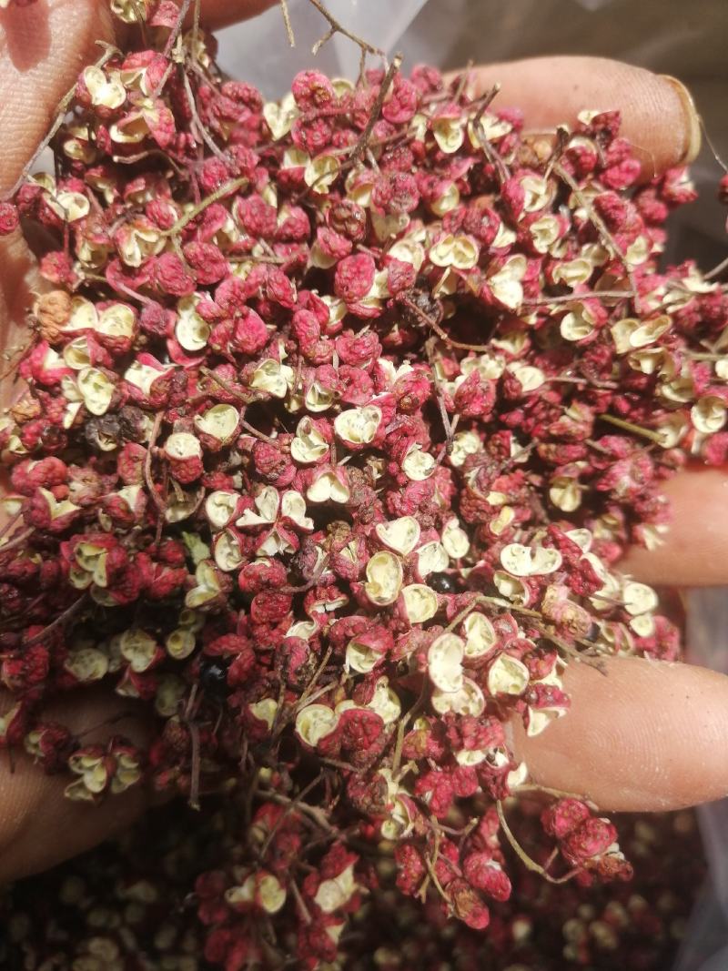 甘肃省，天水市，麦积区花牛镇，精品新鲜花椒，大红袍包邮中