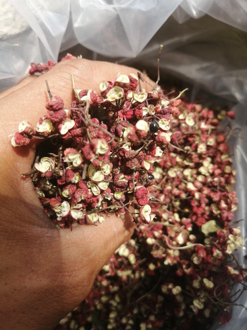 甘肃省，天水市，麦积区花牛镇，精品新鲜花椒，大红袍包邮中