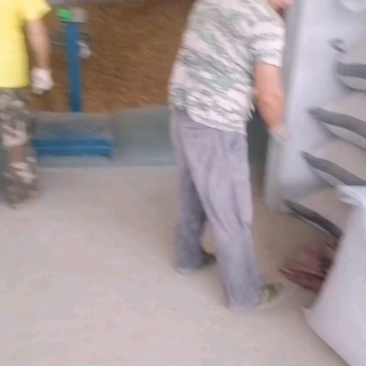 贝母，高含量贝母片无硫干片。