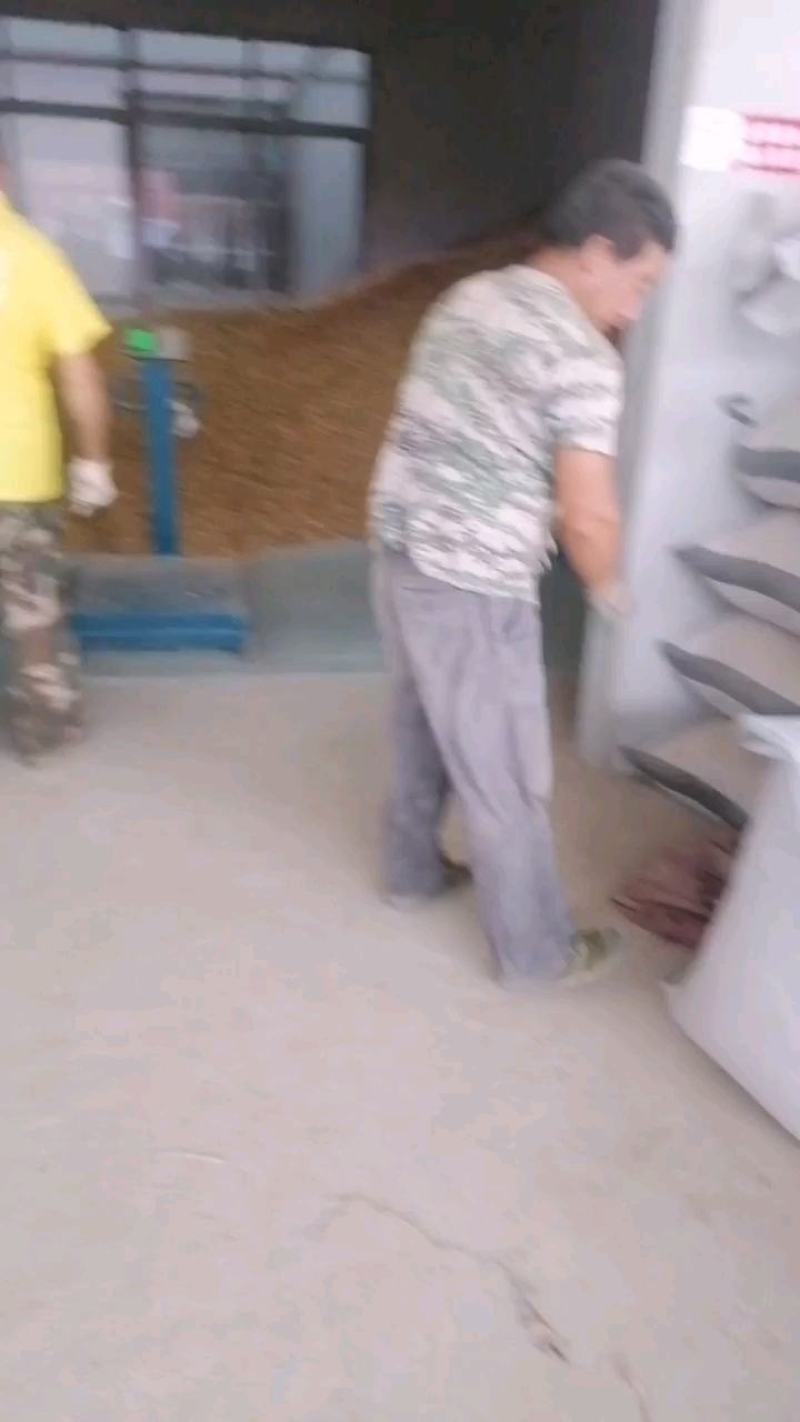 贝母，高含量贝母片无硫干片。