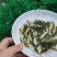 祼鲤苗大量有货常年供应欢迎全国采购
