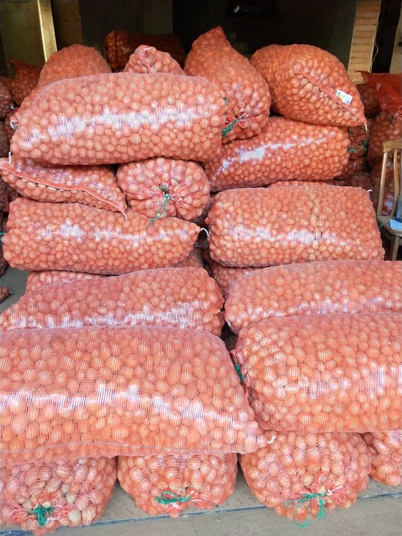 小土豆