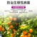 流体硼叶面硼肥果蔬保花保果促花芽分化提高座果微量元素