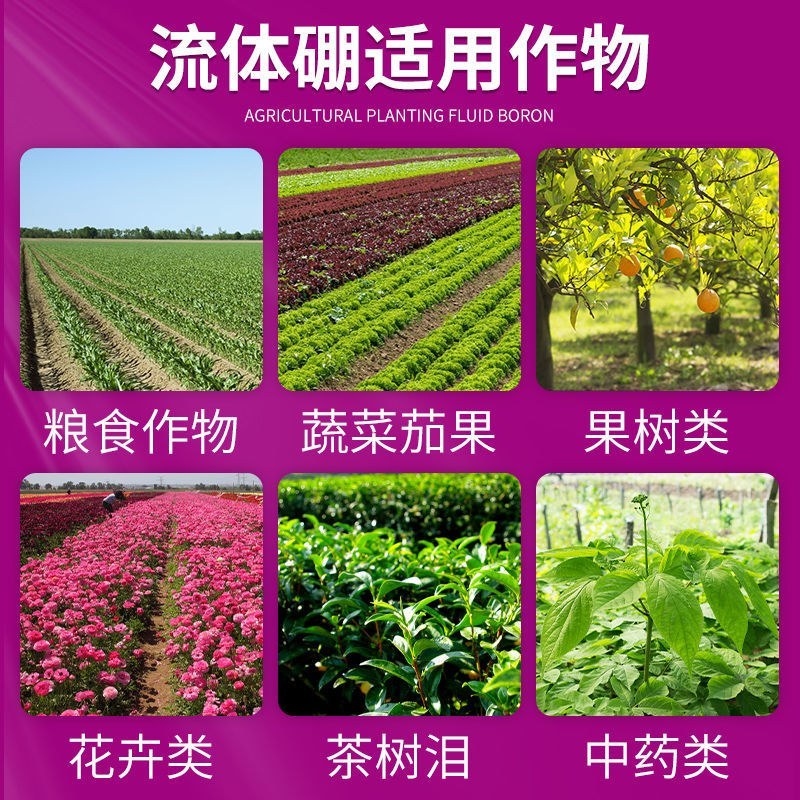 流体硼叶面硼肥果蔬保花保果促花芽分化提高座果微量元素