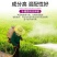 流体硼液体硼叶面硼稳花坐果促花芽分化提高座果微量元素硼肥