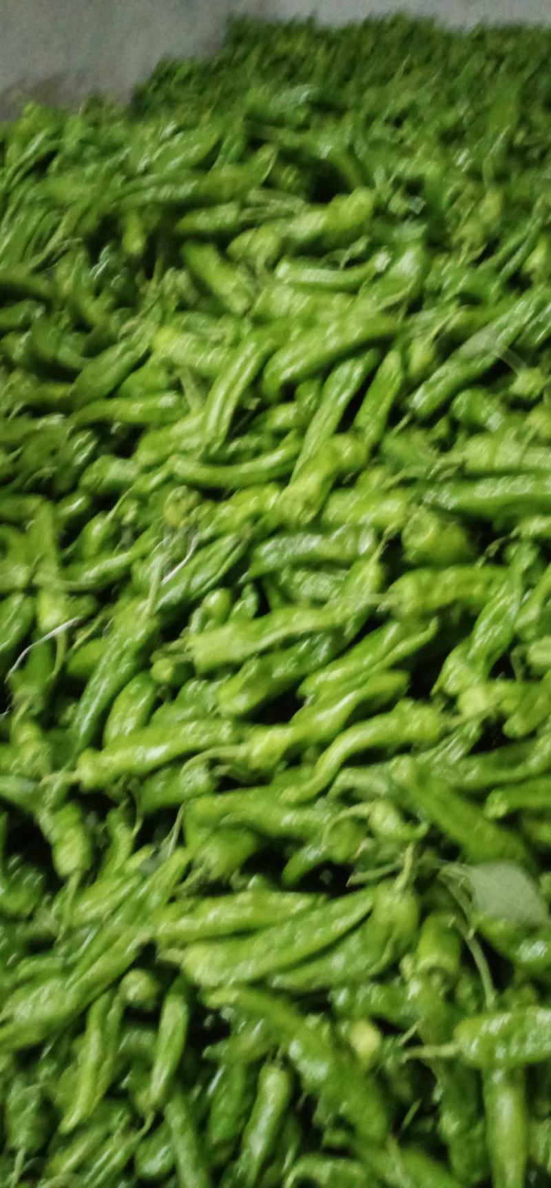 辣椒