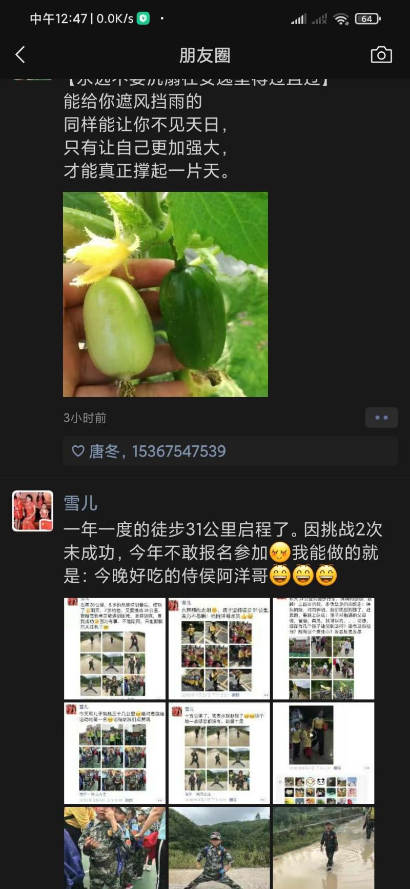 自产自销，大量供应新鲜水果莲蓬，麻莲蓬，价格实惠，