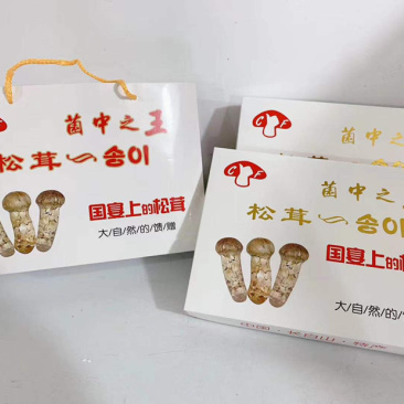 长白山野生松茸片松茸干片产地源头批发供应