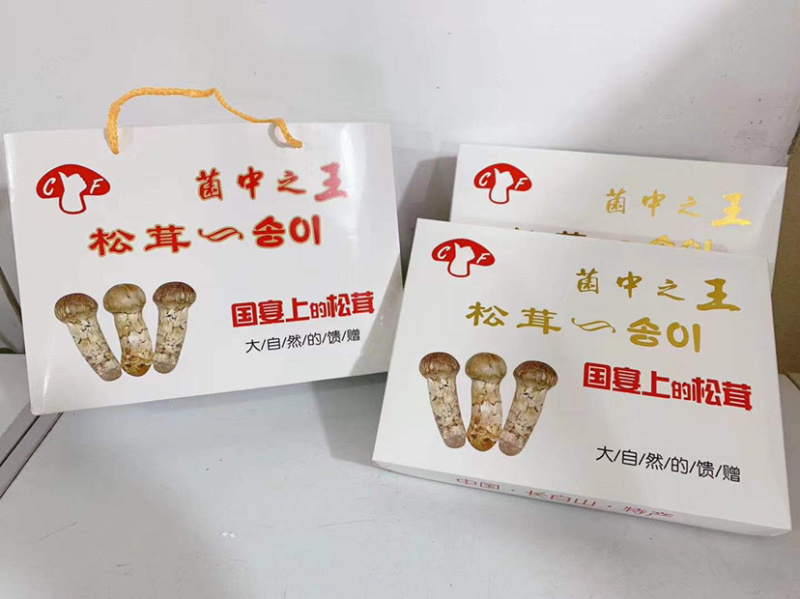 长白山野生松茸片松茸干片产地源头批发供应